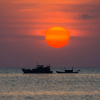 Viết đoạn văn nêu cảm nhận về bài thơ Quê hương