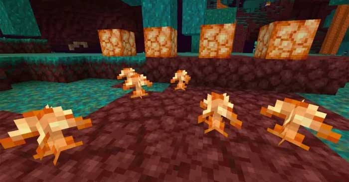 Shroomlight trong Minecraft