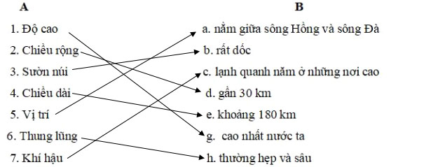 câu hỏi 5