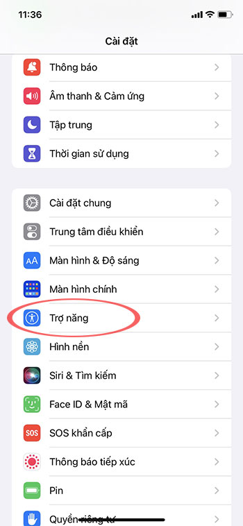 Cach dieu khien TikTok bang giong noi tren iPhone 1*406514