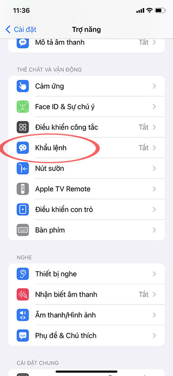 Cach dieu khien TikTok bang giong noi tren iPhone 2*406516