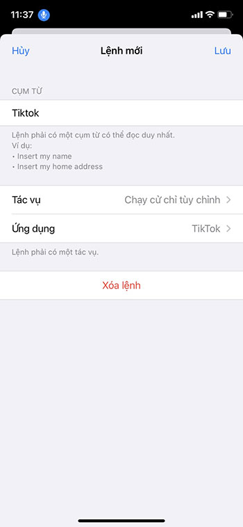 Cach dieu khien TikTok bang giong noi tren iPhone 8*406517