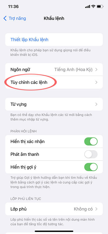 Cach dieu khien TikTok bang giong noi tren iPhone 9*406519