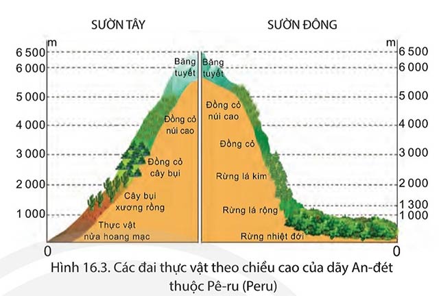 Hình 16.3