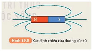 Hình 19.5