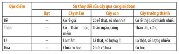 Bảng