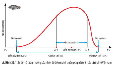 Hình 35.1