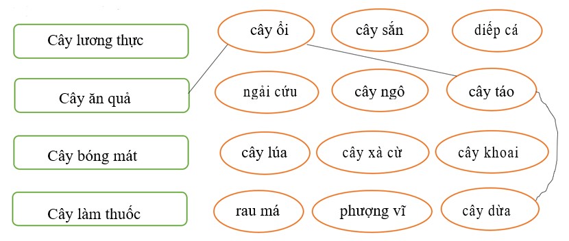 Phiếu bài tập cuối tuần lớp 2 môn Tiếng Việt Kết nối tri thức – Tuần 21 Bài tập cuối tuần lớp 2
