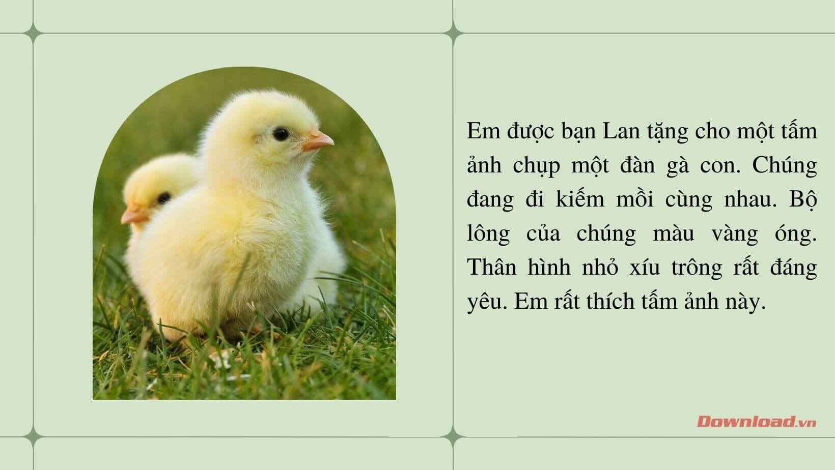 Sticker con vật hình tròn | Stickers, Vật