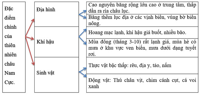 Luyện tập 1