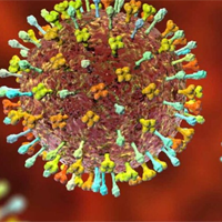 Sinh học 10 Bài 25: Một số bệnh do virus và các thành tựu nghiên cứu ứng dụng virus