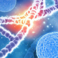 Sinh học 10 Bài 15: Thực hành làm tiêu bản nhiễm sắc thể để quan sát quá trình nguyên phân, giảm phân ở tế bào thực vật, động vật