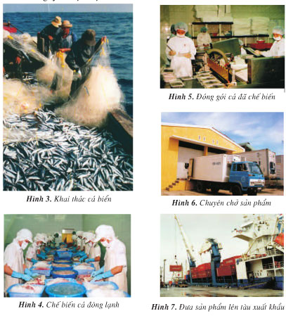 Địa lí lớp 4 Bài 30: Khai thác khoáng sản và hải sản ở vùng biển Việt Nam Giải bài tập Địa lí 4 trang 152