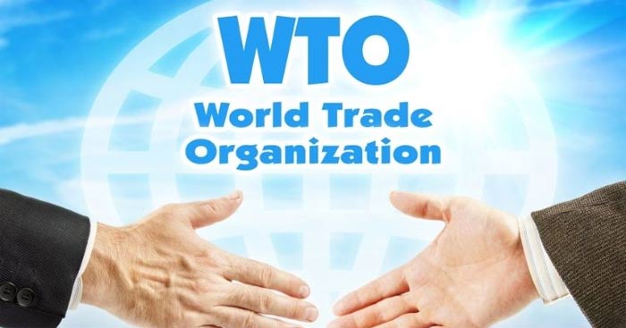 Viết đoạn văn tiếng Anh về tổ chức quốc tế WTO Viết về một tổ chức quốc tế