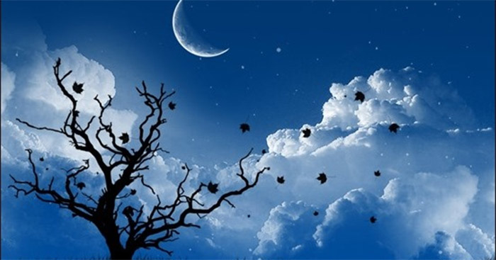 Cat and the moon & Slide ảnh động đêm trăng trên biển cực đẹp - YouTube