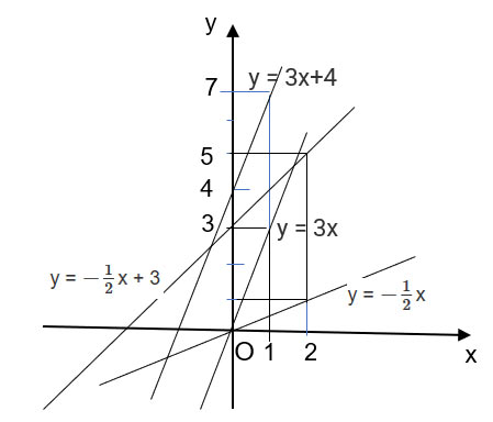 Bài 3