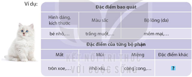 Viết: Quan sát con vật – Tiếng Việt 4 Kết nối tri thức Tiếng Việt lớp 4 Kết nối tri thức tập 1 Bài 26