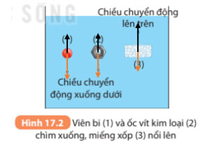 KHTN 8 Bài 17: Lực đẩy Archimedes Giải KHTN 8 Kết nối tri thức trang 73, 74, 75