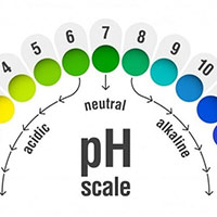 KHTN 8 Bài 10: Thang pH