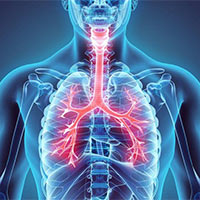 KHTN 8 Bài 32: Hệ hô hấp ở người