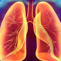 KHTN 8 Bài 34: Hệ hô hấp ở người