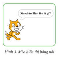 Hình 3