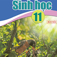 Đáp án trắc nghiệm tập huấn môn Sinh học 11 sách Cánh diều