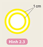 Hình 2.3