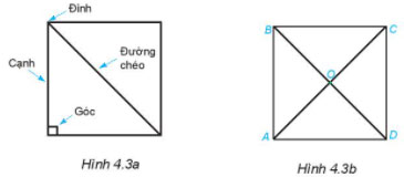 Hình 4.3a