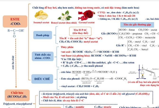 Sơ đồ tư duy Este chi tiết nhất