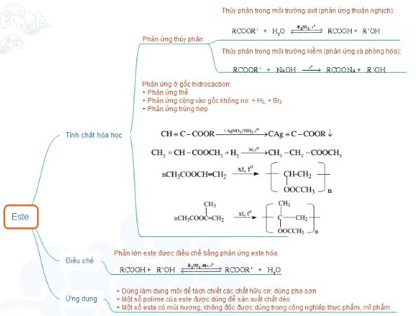 Sơ đồ tư duy Este chi tiết nhất