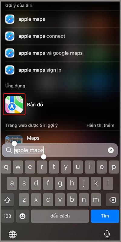 Cách dùng bản đồ ngoại tuyến trên iOS 17