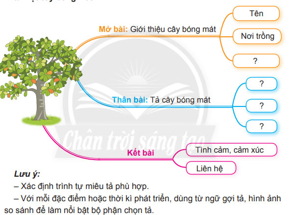 Viết: Lập dàn ý cho bài văn miêu tả cây cối – Tiếng Việt 4 Chân trời sáng tạo Tiếng Việt lớp 4 Chân trời sáng tạo tập 2 Bài 3
