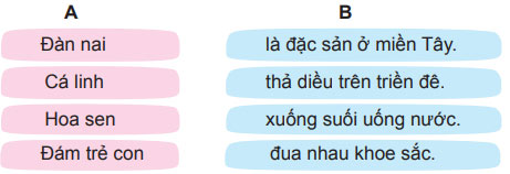 Luyện từ và câu: Luyện tập về chủ ngữ – Tiếng Việt 4 Chân trời sáng tạo Tiếng Việt lớp 4 Chân trời sáng tạo tập 2 Bài 4