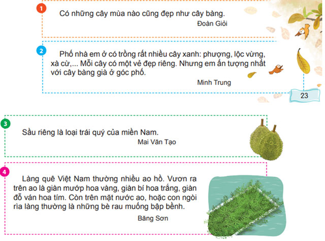 Viết: Viết đoạn mở bài cho bài văn miêu tả cây cối – Tiếng Việt 4 Chân trời sáng tạo Tiếng Việt lớp 4 Chân trời sáng tạo tập 2 Bài 4