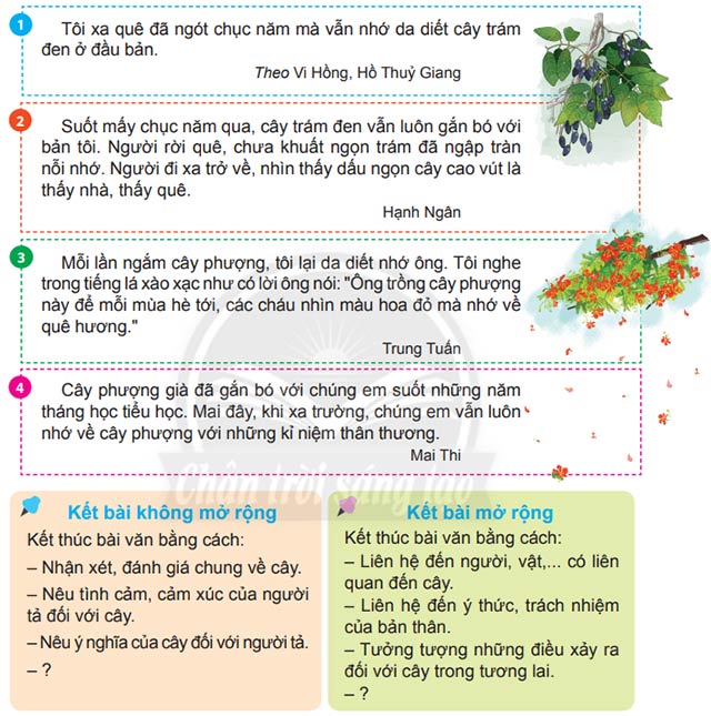 Viết: Viết đoạn kết bài cho bài văn miêu tả cây cối – Tiếng Việt 4 Chân trời sáng tạo Tiếng Việt lớp 4 Chân trời sáng tạo tập 2 Bài 6