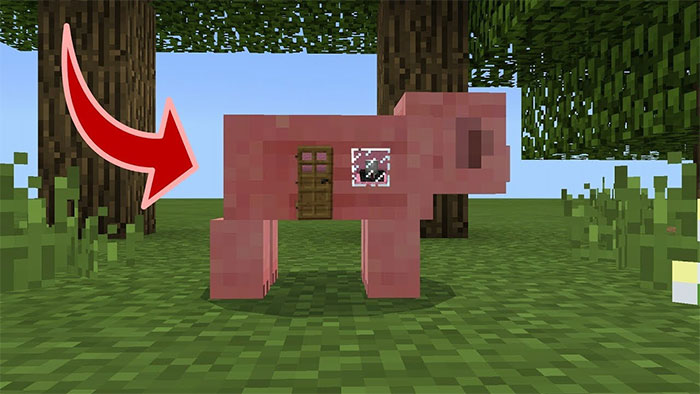 Cách nhân giống lợn trong Minecraft