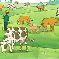 Chia sẻ và đọc: Đàn bò gặm cỏ - Tiếng Việt 4 Cánh diều