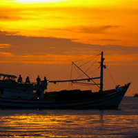 Dẫn chứng liên hệ Chiếc thuyền ngoài xa của Nguyễn Minh Châu