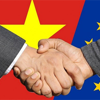 Viết báo cáo về trao đổi thương mại một mặt hàng giữa Việt Nam và EU