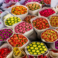 Đoạn văn tiếng Anh về lễ hội chợ hoa