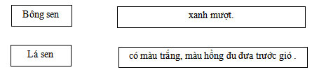 Bộ đề thi giữa học kì 2 môn Tiếng Việt lớp 2 năm 2023 – 2024 (Sách mới) 13 Đề kiểm tra giữa kì 2 môn Tiếng Việt 2 sách KNTT, CTST, Cánh diều