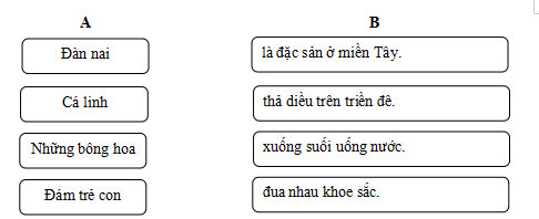 Bộ đề ôn thi giữa học kì 2 môn Tiếng Việt 4 sách Chân trời sáng tạo 3 Đề ôn tập giữa kì 2 môn Tiếng Việt 4 năm 2023 – 2024 (Có đáp án, ma trận)
