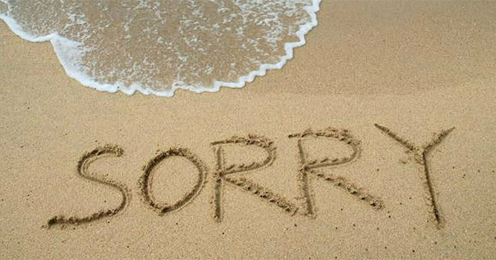 Văn mẫu lớp 9: Dàn ý Nghị luận về lời xin lỗi trong cuộc sống Nghị luận xã hội về lời xin lỗi