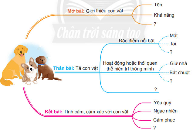 Ôn tập cuối năm học Tiết 5 Tiếng Việt lớp 4 Chân trời sáng tạo Tập 2 trang 135