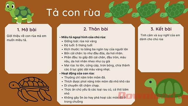 Sơ đồ tư duy Tả con rùa