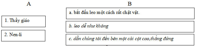 Bộ đề ôn thi học kì 2 môn Tiếng Việt 3 sách Cánh điều 8 Đề ôn tập học kì 2 môn Tiếng Việt 3 năm 2023 – 2024