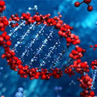 Sinh học 12 Bài 6: Thực hành Tách chiết DNA