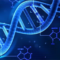 Sinh học 12 Bài 4: Hệ gene, đột biến gene và công nghệ gen