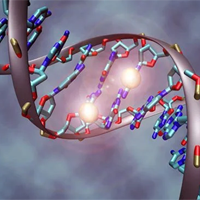 Sinh học 12 Bài 1: Gene và sự tái bản DNA